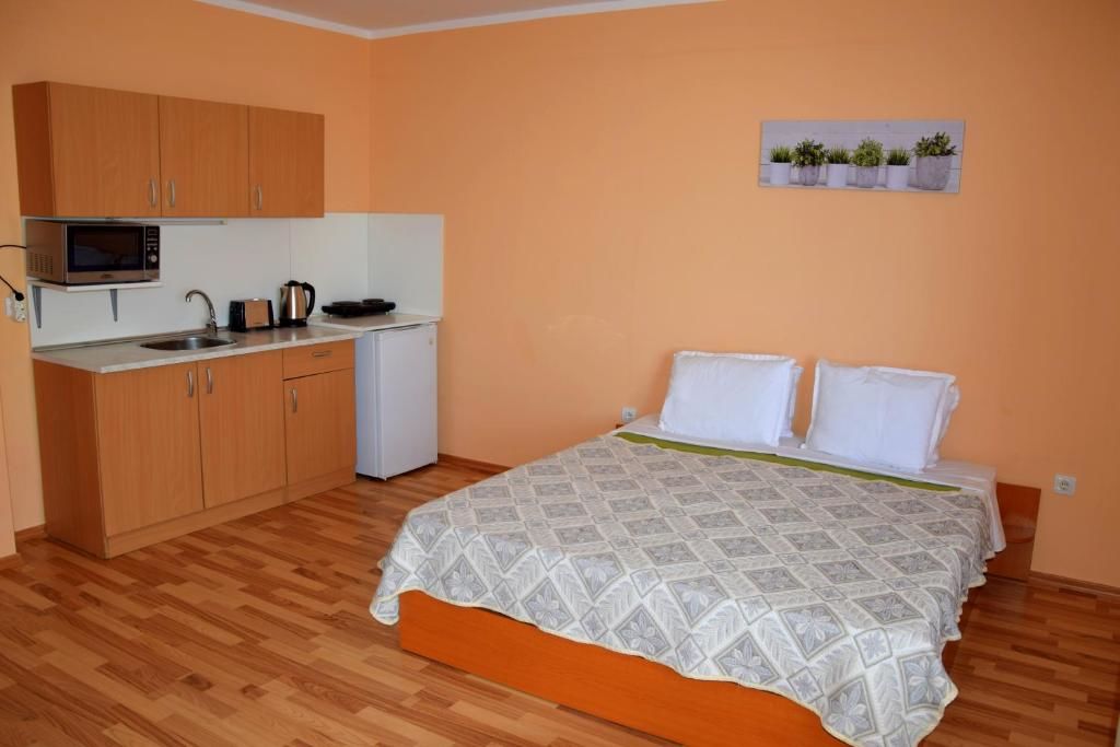 Апарт-отели Sineva Del Sol Apartments Свети-Влас-79